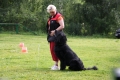 2009 год Adonis Carnovia Silesia