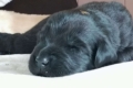 Айк 12 дней 19.07.2019 Dorota Mucha польша