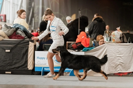 Gartsberg Aira - CAC, RES.CACIB, BEST FEMALE 25.01.2020