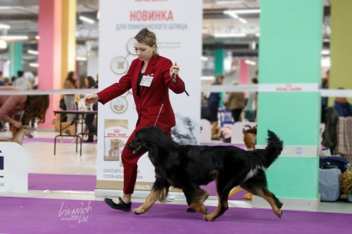 Gartsberg Anahita (14.03.2020) Столица и Лидер престиж