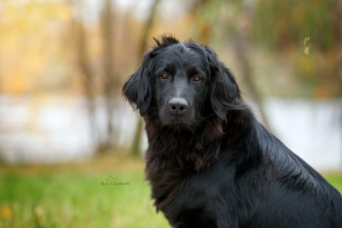 2018.10.29 Hof Garc Unbeliveble Asgard