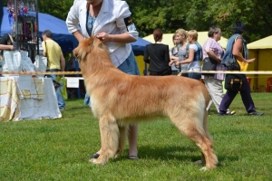 Juurusjarven Chester