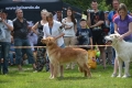 Juurusjarven Chester
