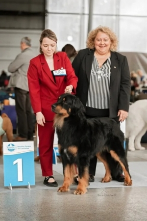 Hof Garc Elmar- CAC, CACIB, BEST MALE, BOS