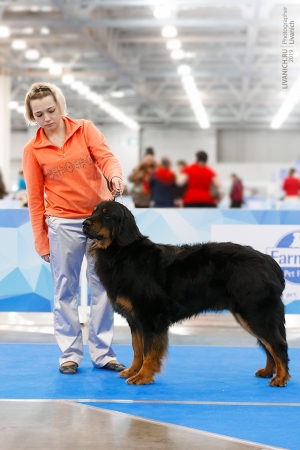 2019.02.24 Hof Garc Elmar