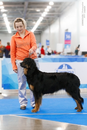 Hof Garc Eriana 2019.02.24