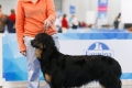 Hof Garc Eriana 2019.02.24