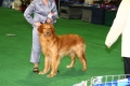 Eshli Palacowe Pieknosci 2009год