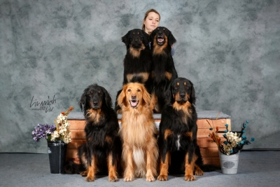 4 поколения ховавартов Hof Garc gartsberg