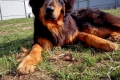 Hof Garc Frey Owner: Elena Orlova