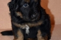 Hof Garc Frey Owner: Elena Orlova
