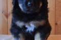 Hof Garc Frey Owner: Elena Orlova