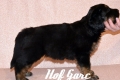 Hof Garc Frey Owner: Elena Orlova