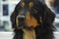 Hof Garc Frey Owner: Elena Orlova