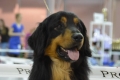 Hof Garc Frey Owner: Elena Orlova