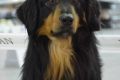 Hof Garc Frey Owner: Elena Orlova