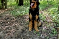 Hof Garc Frey Owner: Elena Orlova