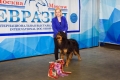 Hof Garc Frey Owner: Elena Orlova