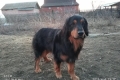 Hof Garc Frey (4.04.2019) Owner: Elena Orlova