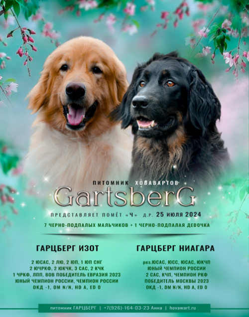 gartsberg CH