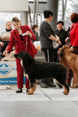 Gartsberg Gabi - J.CAC, BEST JUNIOR FEMALE, BOB JUNIOR