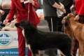 Gartsberg Gabi - J.CAC, BEST JUNIOR FEMALE, BOB JUNIOR