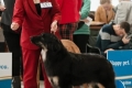 Gartsberg Gabi - J.CAC, BEST JUNIOR FEMALE, BOB JUNIOR
