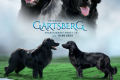 BRATEK LAS KSIEZNICZEK х GartsBerg Vasabi
