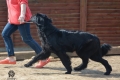 Gartsberg Vassabi (3.05.2020)