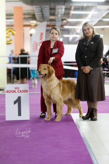Gartsberg Vatson (14.03.2020) Столица и Лидер престиж