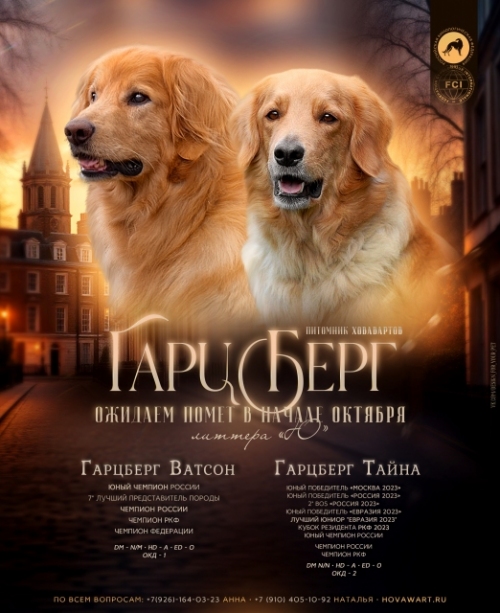 презентация Ю
