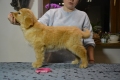 Гарцберг Юна