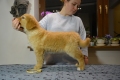 Гарцберг Ютана