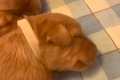 1 неделя