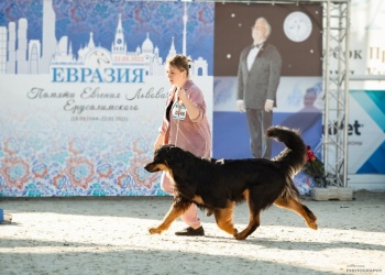 Зоран на Евразии 2022