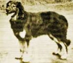 Gartsberg HofGarc