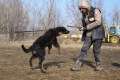 Hof Garc Ruta_4.5m_2