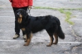 Хоф Гарц Виконт-Артур