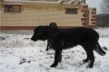 Хоф Гарц Вальгранд