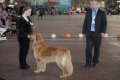 Хоф Гарц Вудфорд