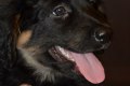 сиреневая-девочка