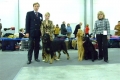 Евразия-2 24.02.2008 Эксперт Cristofer Habig, ПЕРВЫЙ ГОД когда на Евразии появилась еще ховаварт помимо наших!!!
