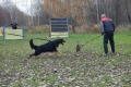 Стинг-2011-год