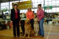 Столица-Зима-2008-10.02. Hara-Foret-Kampo, Eshli Palacowe Pieknosci, Enormous ABWER von Olaf