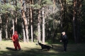 семинар-2010год