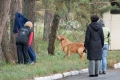 харьков-2011-Эшли