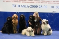 Евразия 2009