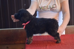 Gartsberg A 38 days girl pink ribbon