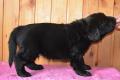 Hof-Garc-Odin-Overbearing-11.05.2013