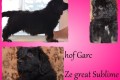 Hof Garc Ze Great